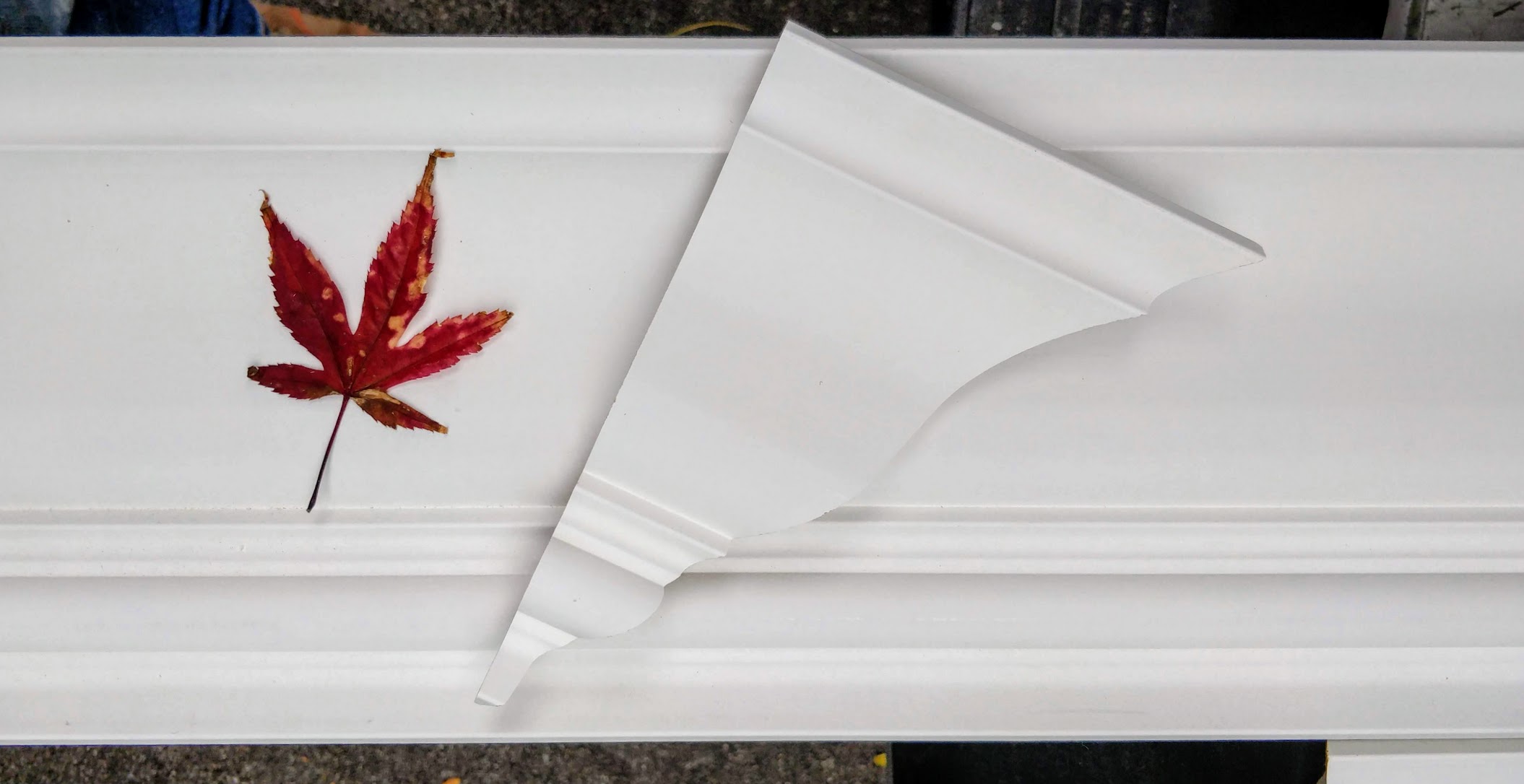 MDF crown moulding profile close-up - clean primed sample ready for paint
