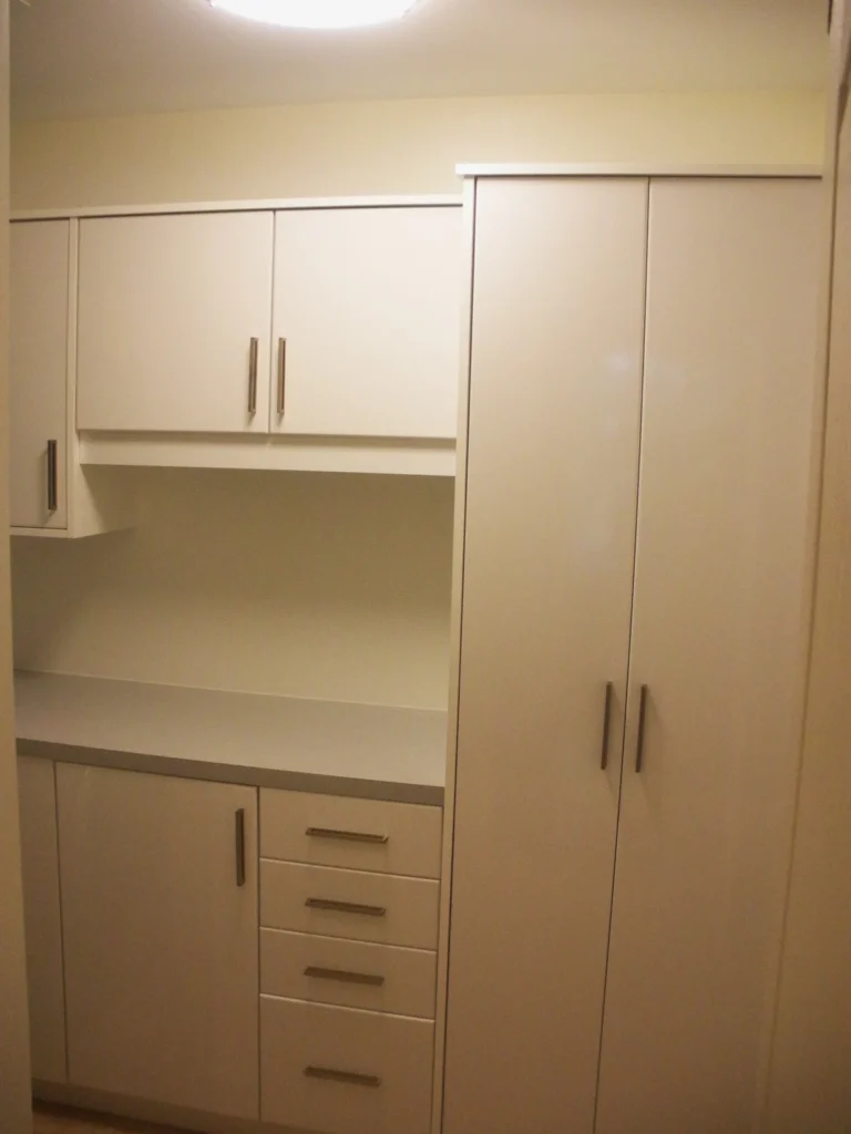 Walk-in pantry with adjustable shelving, drawer bank, and small-appliance counter in a Toronto kitchen